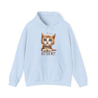 Are You Kitten Me? Unisex Heavy Blend™ Hooded Sweatshirt